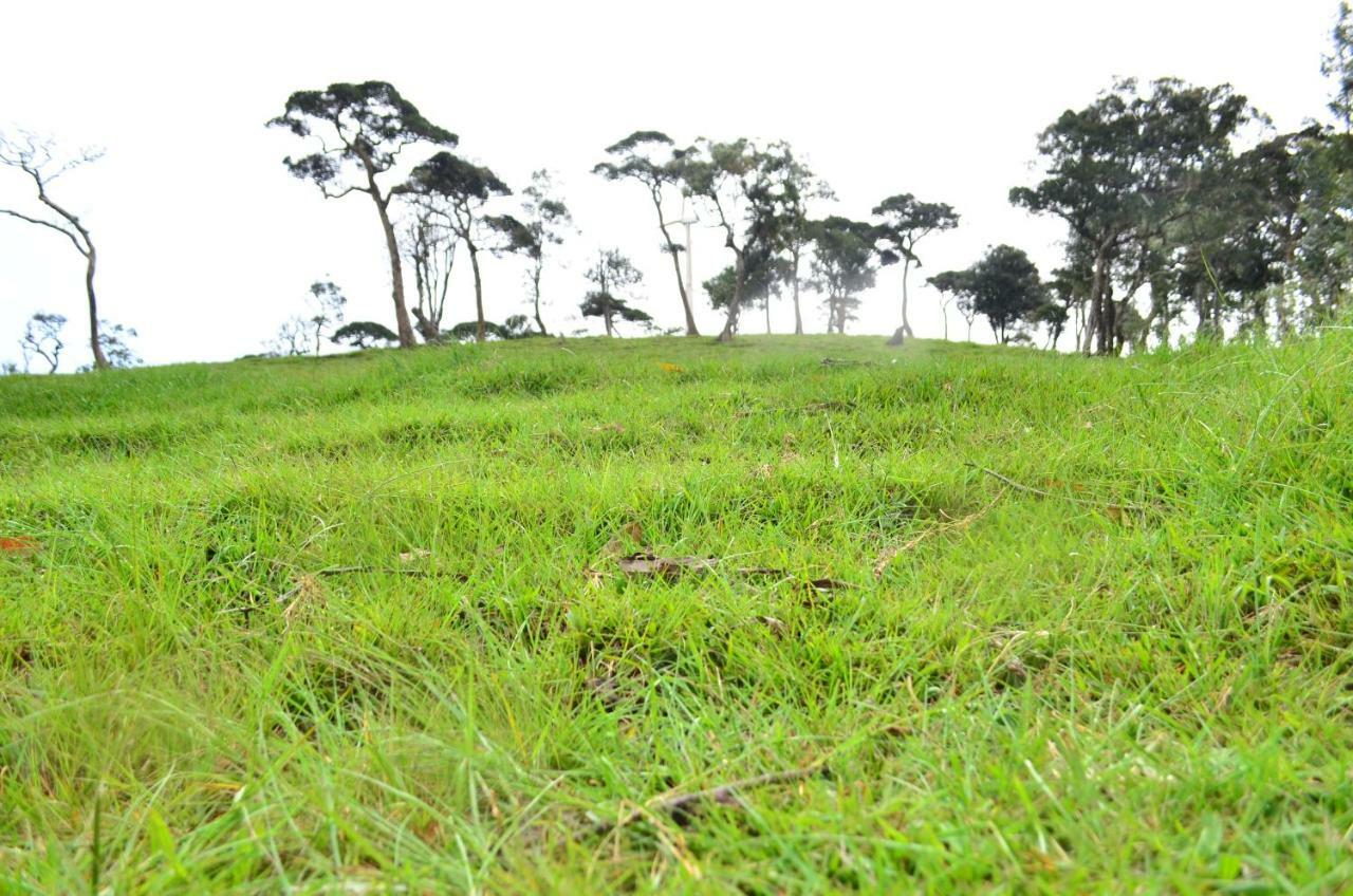 Yensfield Blackpool Nuwara Eliya Buitenkant foto