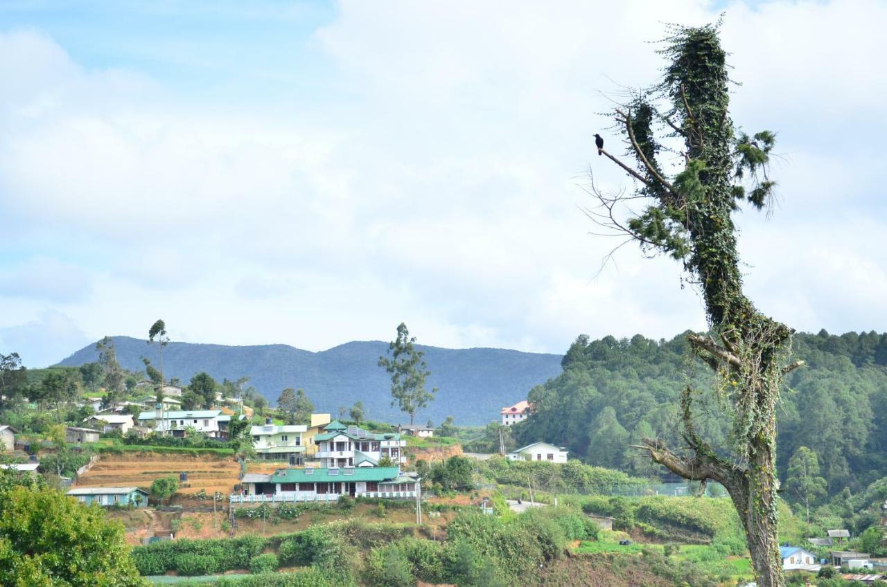 Yensfield Blackpool Nuwara Eliya Buitenkant foto