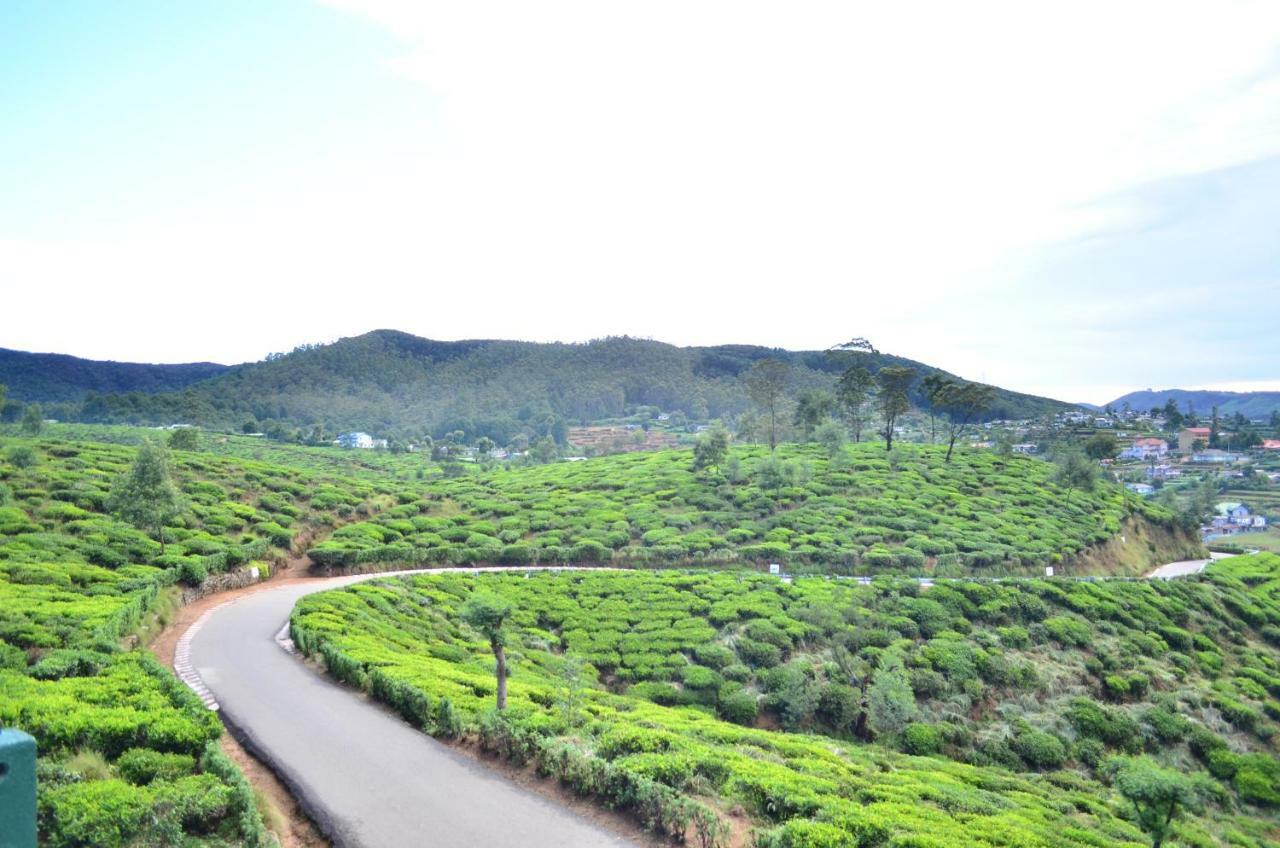 Yensfield Blackpool Nuwara Eliya Buitenkant foto