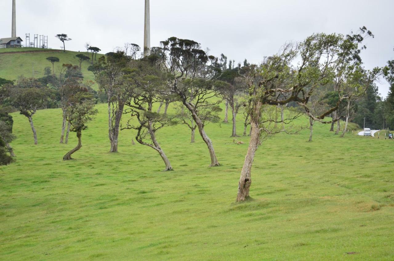 Yensfield Blackpool Nuwara Eliya Buitenkant foto