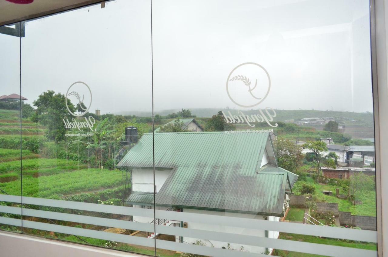 Yensfield Blackpool Nuwara Eliya Buitenkant foto
