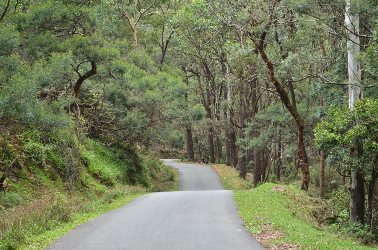 Yensfield Blackpool Nuwara Eliya Buitenkant foto
