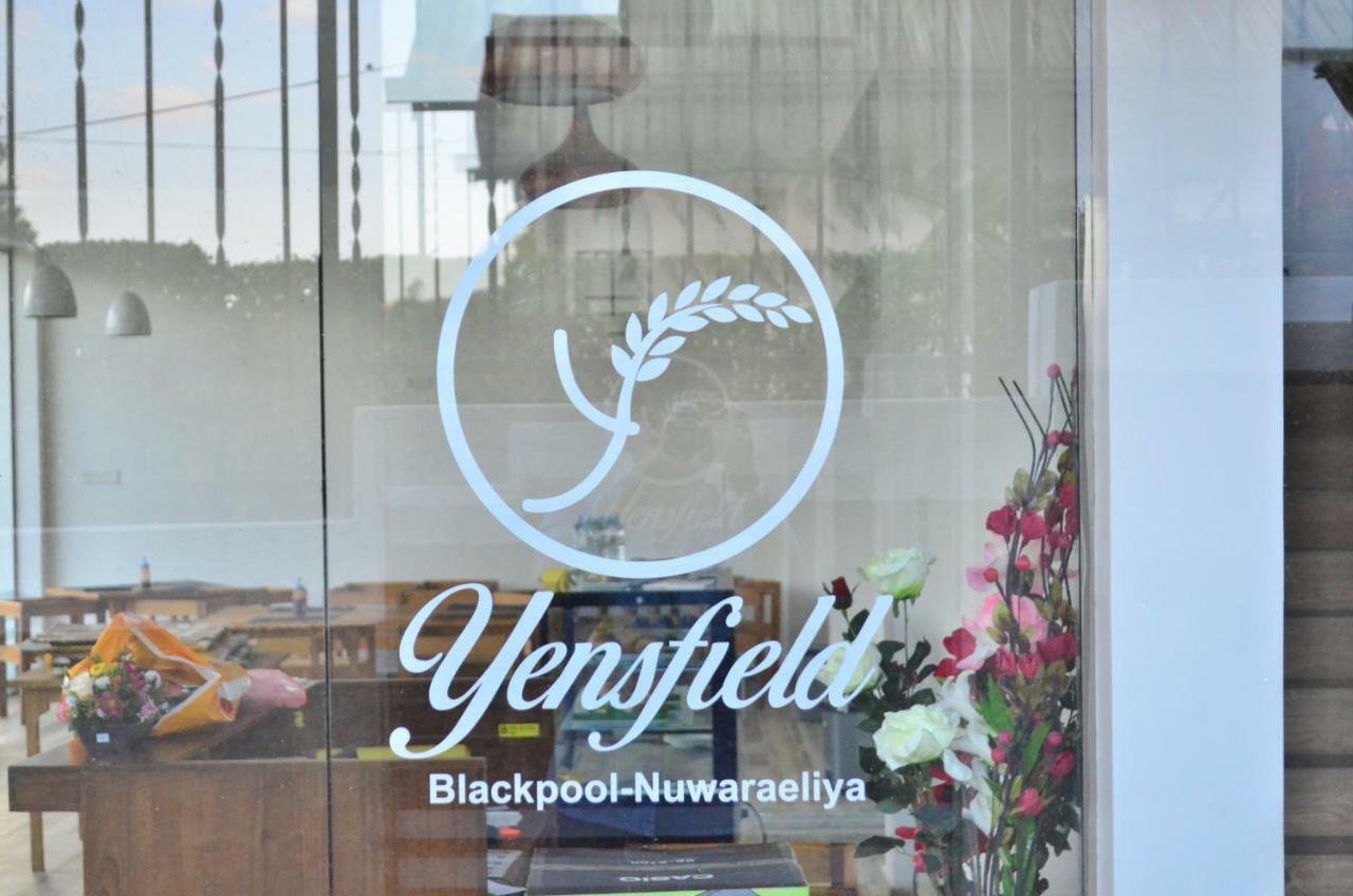 Yensfield Blackpool Nuwara Eliya Buitenkant foto