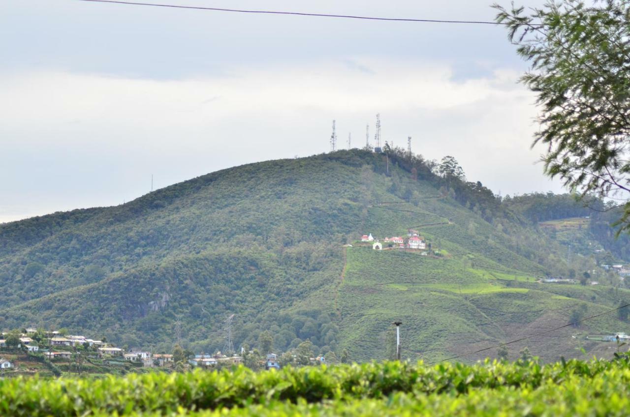 Yensfield Blackpool Nuwara Eliya Buitenkant foto
