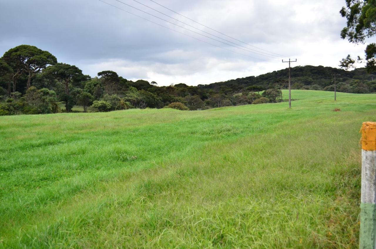 Yensfield Blackpool Nuwara Eliya Buitenkant foto
