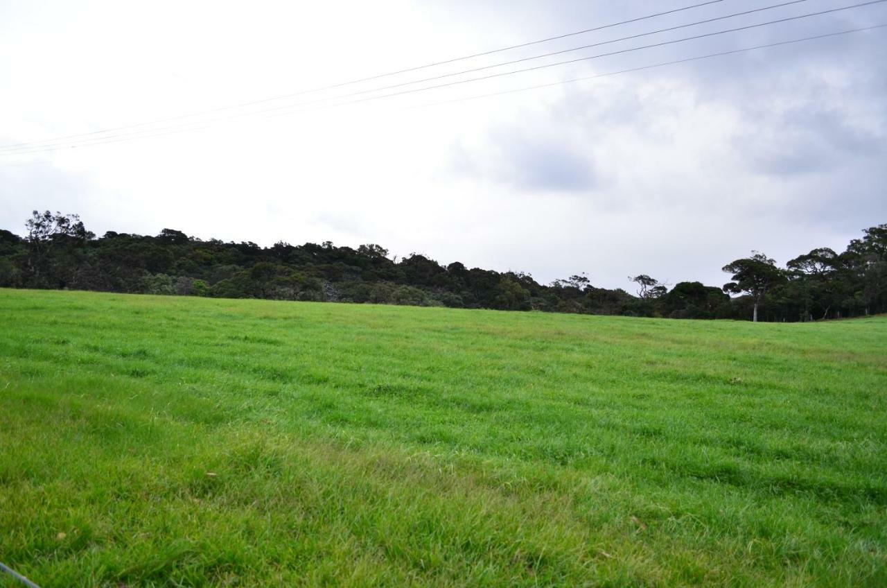 Yensfield Blackpool Nuwara Eliya Buitenkant foto